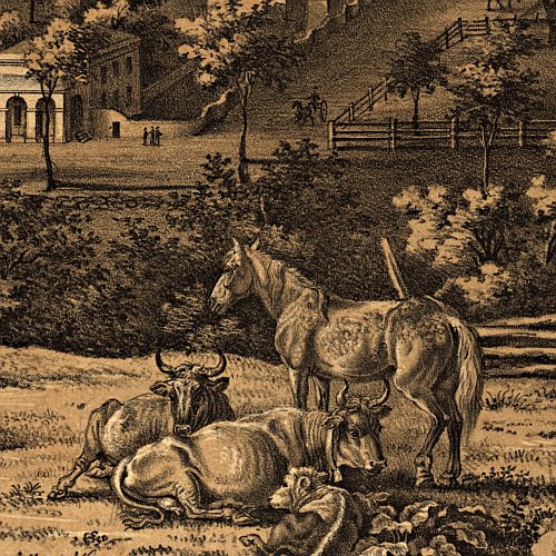 View of the University of Virginia, Charlottesville &amp; Monticello..., 1856
