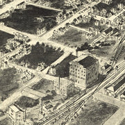 Birds eye view of Suffolk, Virginia by T. M. Fowler, 1907